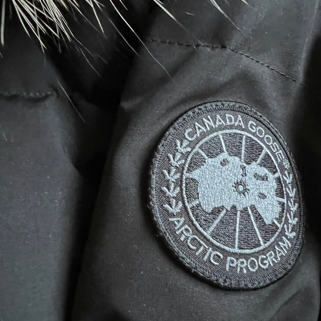 Canada Goose: A Deep Dive Into The Classics, The Ethics and The Evolution.