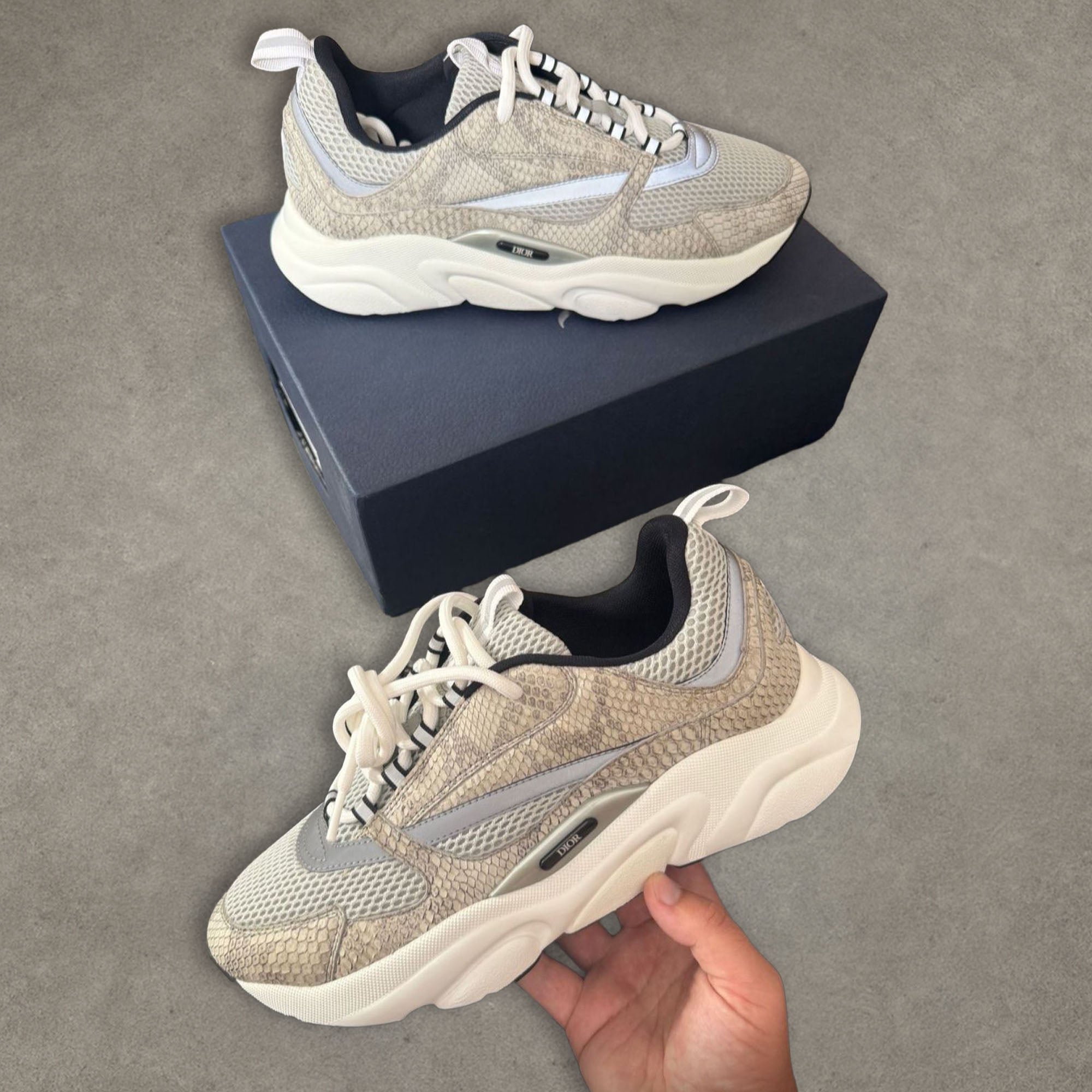 Dior B22 Grey Python Trainer